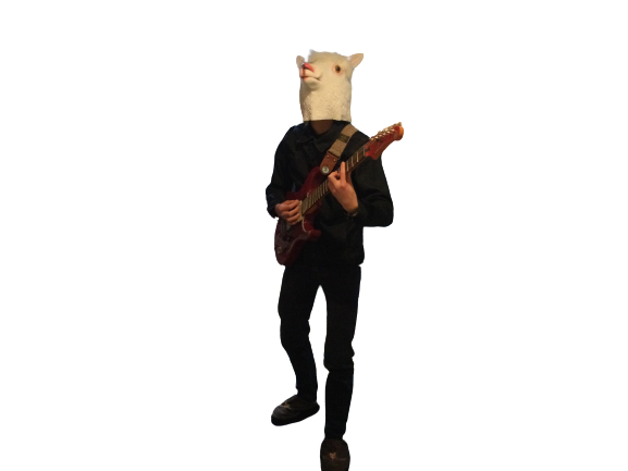 alpaca