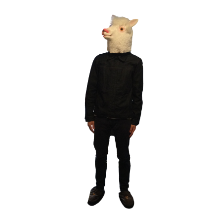 animation